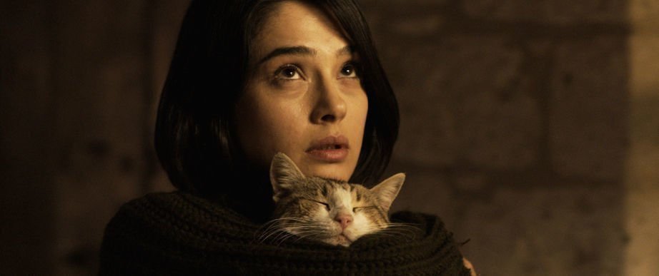 Clair Obscur Film Streaming Clair Obscur | Kritik | Film | critic.de