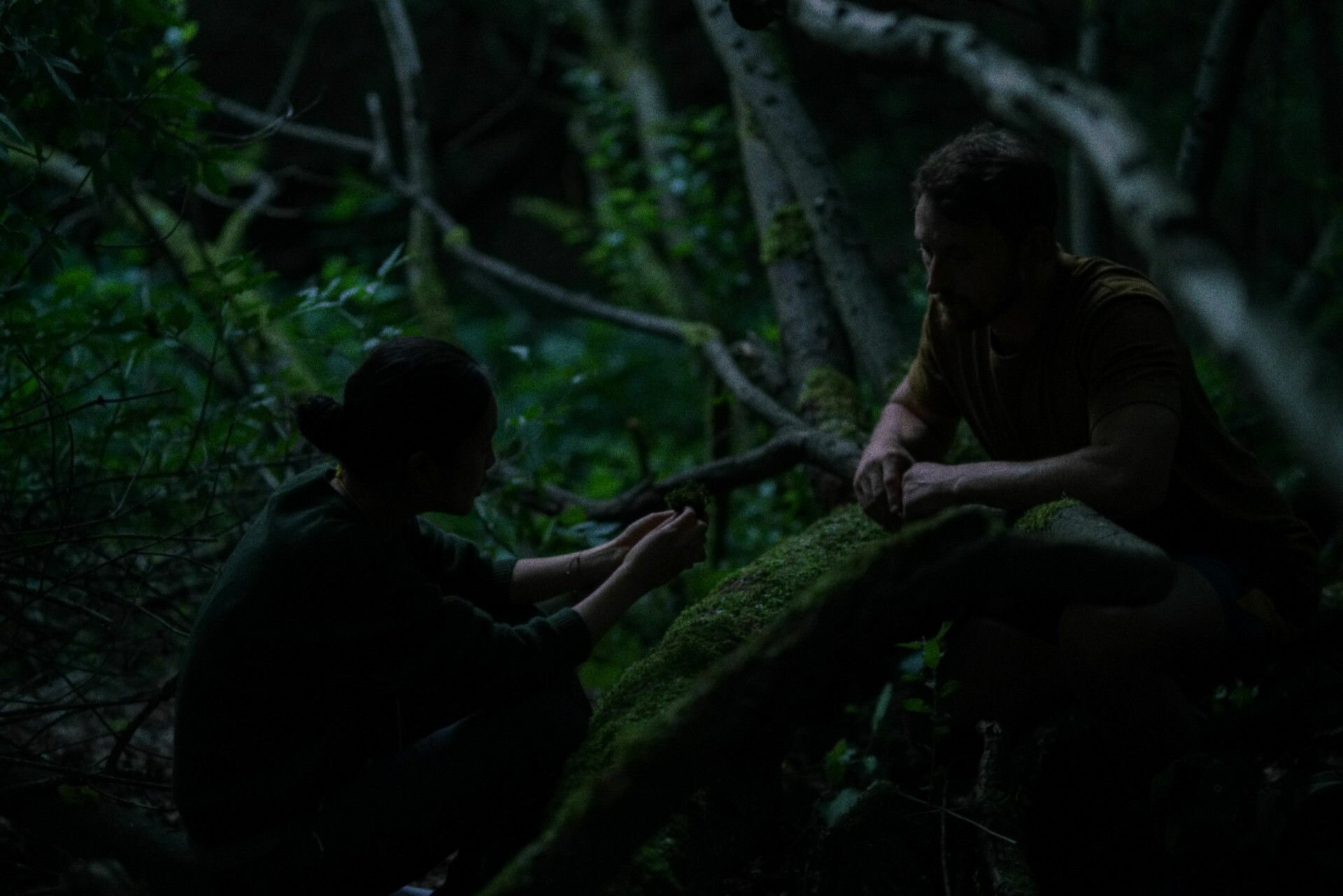 Here Kritik Film critic.de