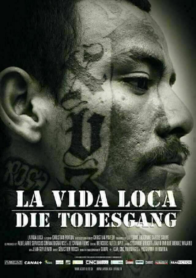 La Vida Loca Poster Bild 3 von 17 Film critic.de