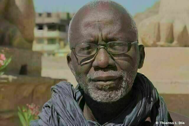 Souleymane Cisse Portrait Souleymane Cisse Portrait