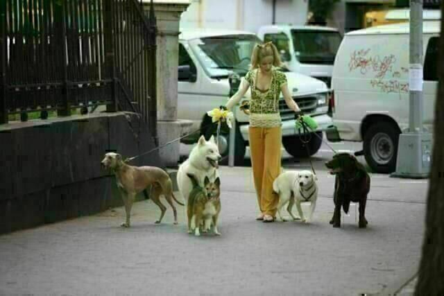 Whatever Works – Liebe sich, wer kann Whatever Works – Liebe sich, wer kann