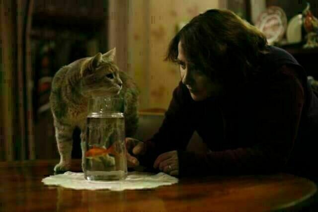 Die Eleganz der Madame Michel Die Eleganz der Madame Michel