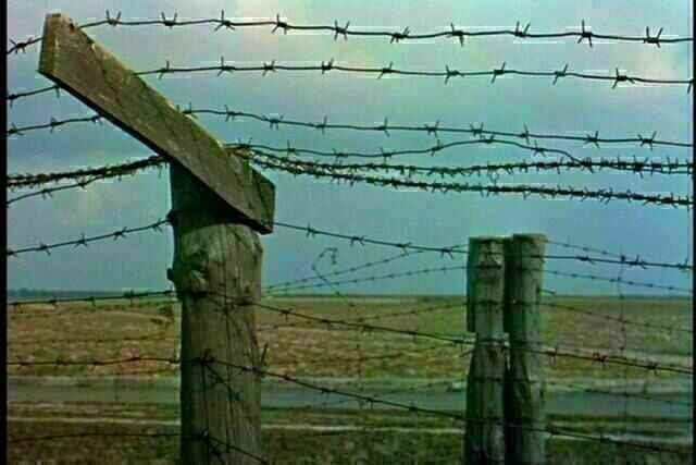 Nacht und Nebel Kritik Film critic.de