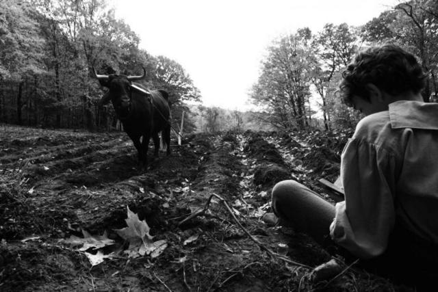 The Better Angels Szenenbilder und Poster Film critic.de