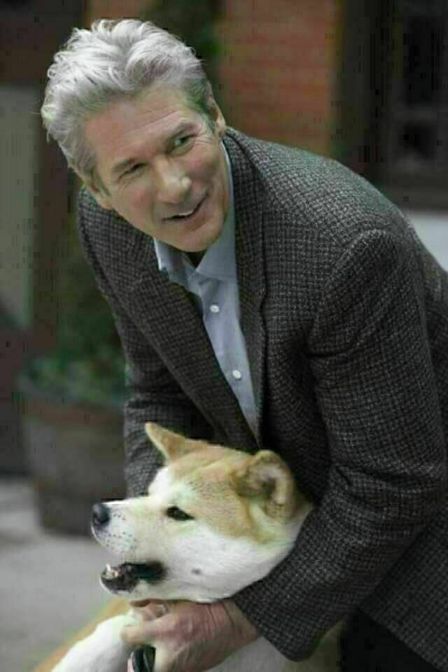 Hachiko Eine wunderbare Freundschaft Bild 5 von 12 Film critic.de