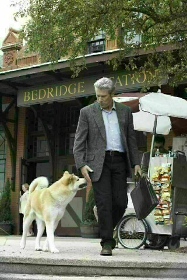 Hachiko Eine wunderbare Freundschaft Bild 6 von 12 Film critic.de