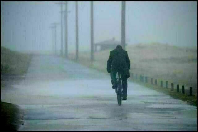 Der Ghostwriter Der Ghostwriter