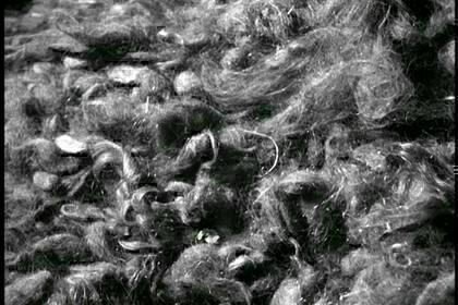 Nacht und Nebel Kritik Film critic.de