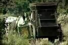 1 ½ Ritter - Auf der Suche nach der hinreißenden Herzelinde