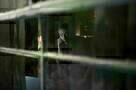 13 Sins 07