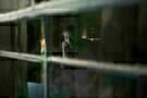 13 Sins 07