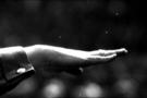 16 Speer Hitlerarm