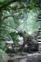 1968 Tunnel Rats