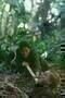 1968 Tunnel Rats