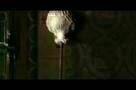 7 Zwerge - Der Wald ist nicht genug - Trailer