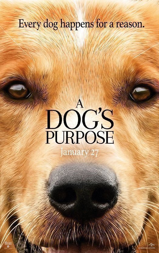 A Dogs Purpose - Poster