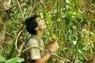 A Floresta de Jonathas 06