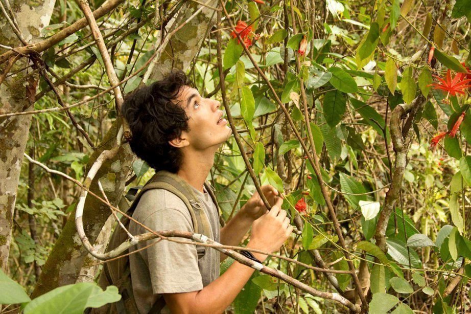 A Floresta de Jonathas 06
