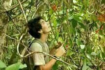 A Floresta de Jonathas 06
