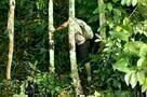 A Floresta de Jonathas 07