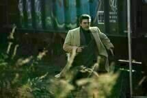 A Most Violent Year 25 A Most Violent Year 25