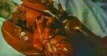 A Night to Dismember 17