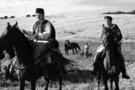 Aferim 06