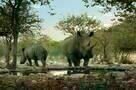 African Safari 3D - Trailer