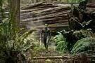 After Earth 01
