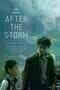 After the Storm - Poster 01