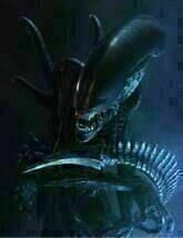 Alien Vs. Predator