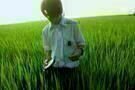 All About Lily Chou-Chou 01