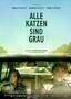 Alle Katzen sind grau - Plakat