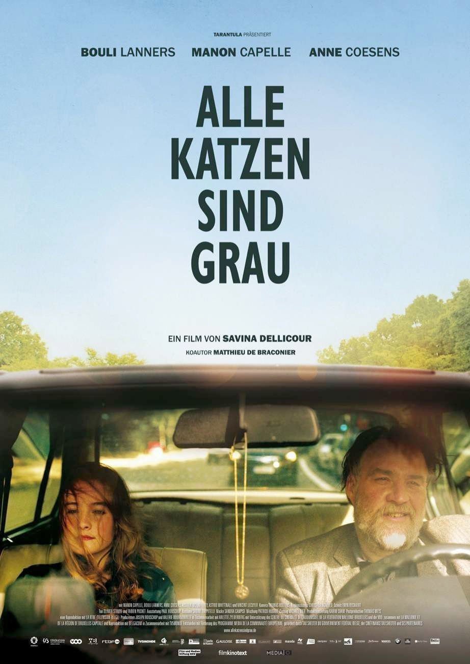 Alle Katzen sind grau - Plakat
