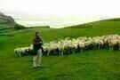 Am gruenen Rand der Welt 19