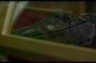 Ammonite - Trailer