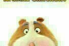 Animal Crackers - Poster