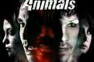 Animals - Das toedlichste Raubtier ist in Dir - Poster