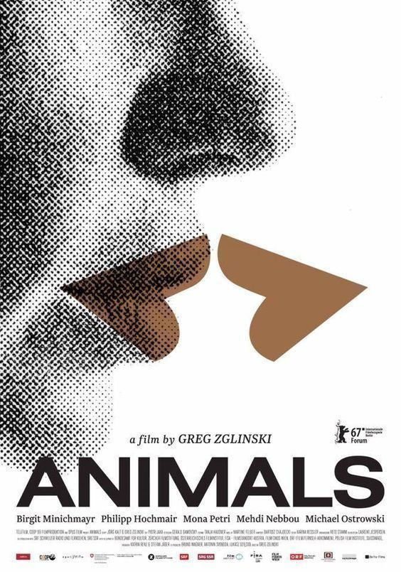 Animals Stadt Land Tier - Poster