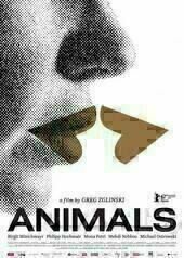 Animals - Stadt Land Tier