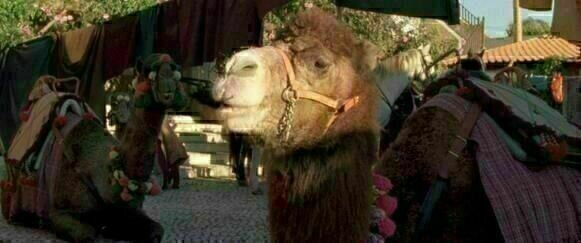 Arabian Nights Volume 1 01