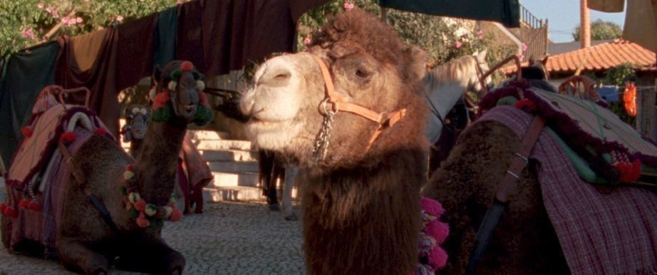 Arabian Nights Volume 1 01
