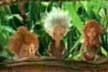 Arthur und die Minimoys