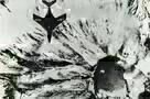 Ascent 06