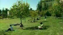At Berkeley 01