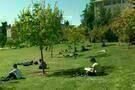 At Berkeley 01