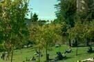 At Berkeley