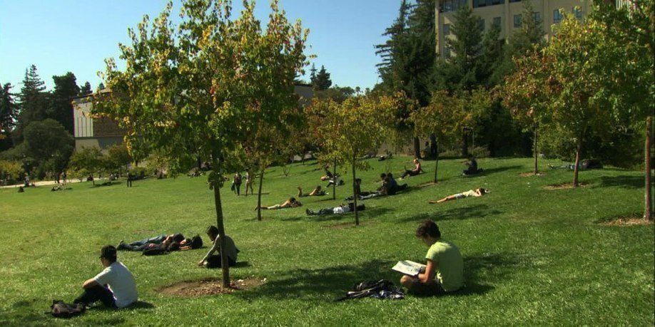 At Berkeley Feature