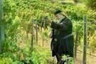 Athos 05