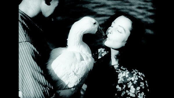 Auge in Auge – Eine deutsche Filmgeschichte